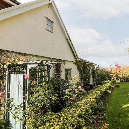 Claire'S Cottage Poughill  ภายนอก รูปภาพ